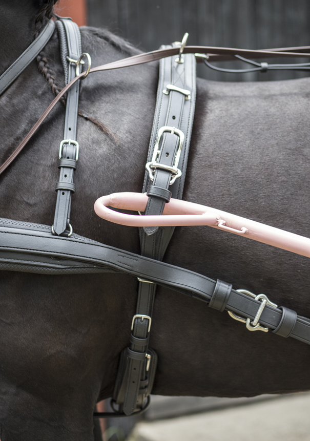 Arreio de couro preto com fivelas metálicas num cavalo preto, com cabo rosa visível