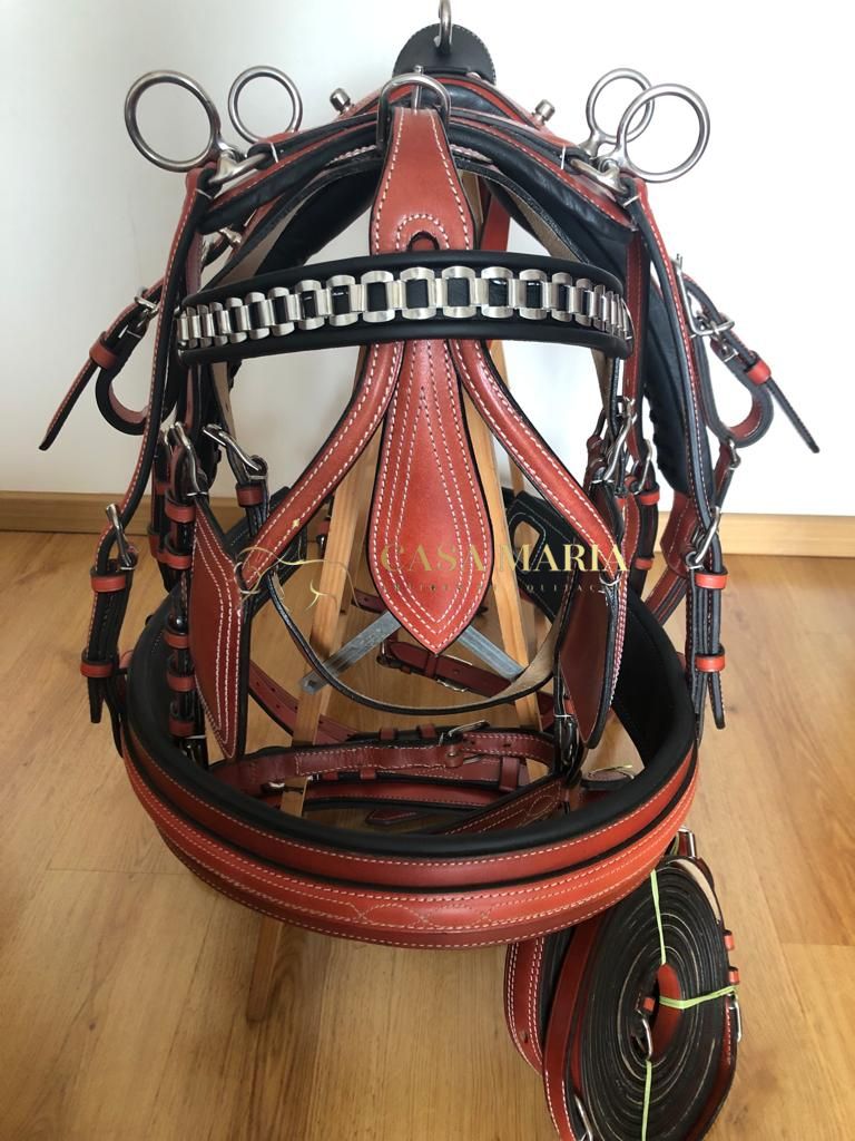 Freio de cavalo em couro castanho e anéis metálicos prateados num suporte