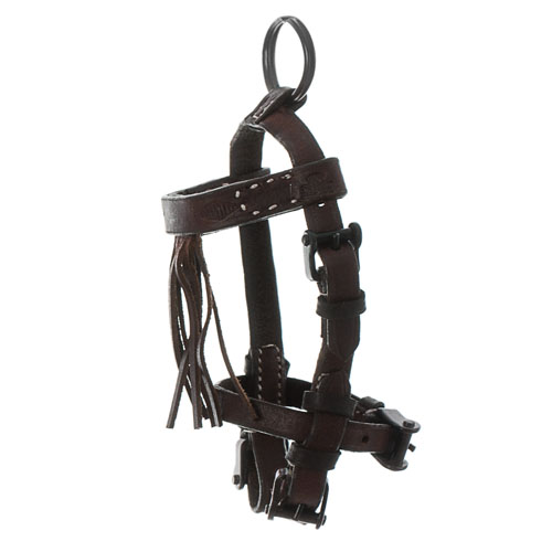 Brida para cavalo de pele castanha escura com fivelas metálicas