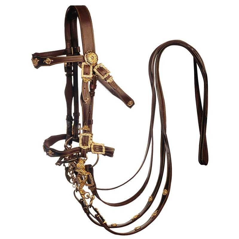 Bridão de equitação em couro castanho com detalhes dourados