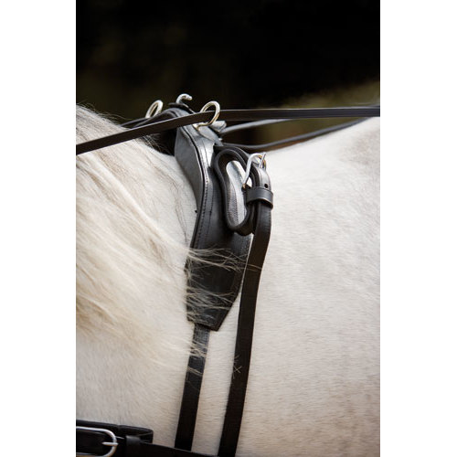 Cinta de couro preto com metal no pescoço de um cavalo branco