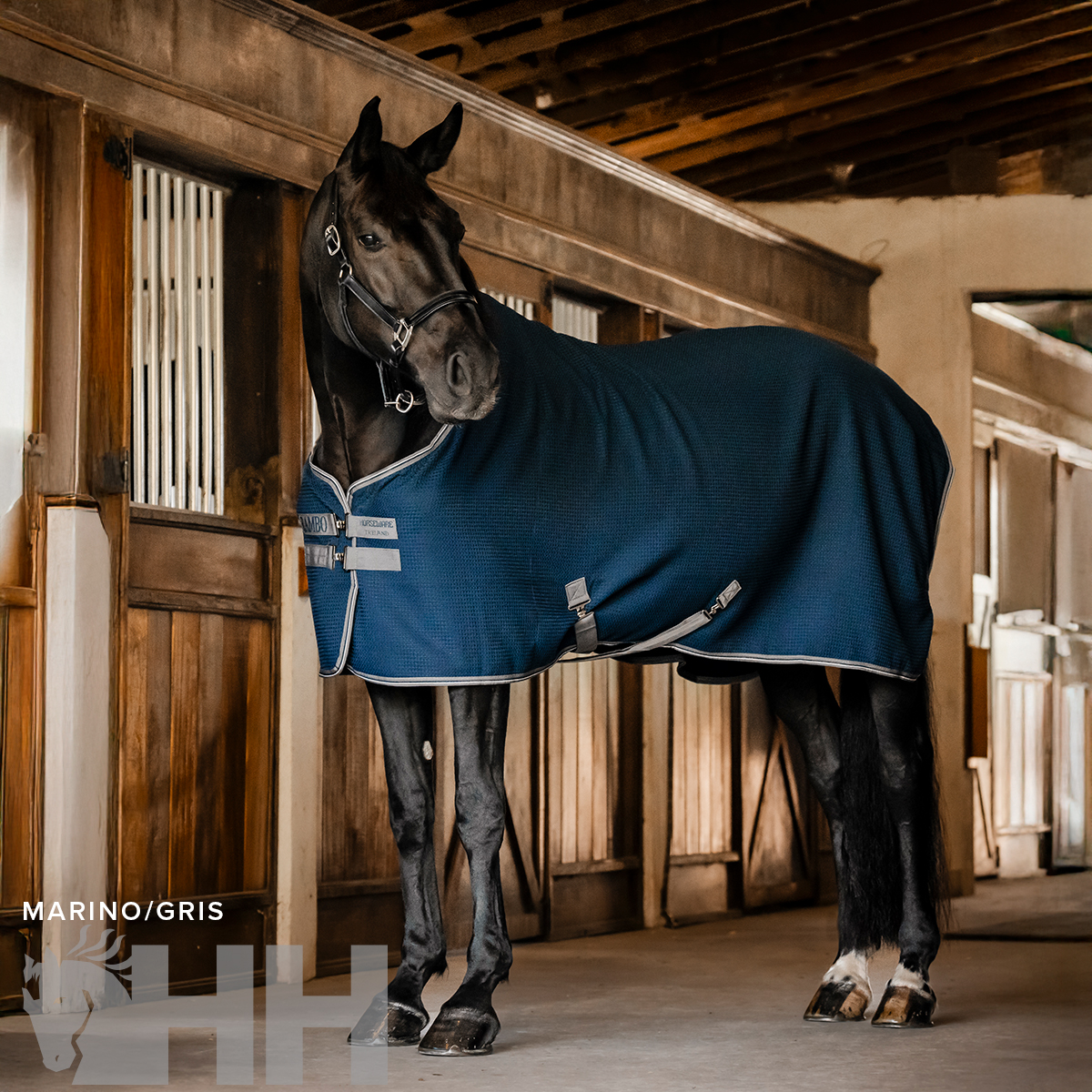 Cavalo com manta azul escura em estábulo com portas de madeira