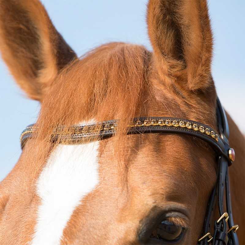 Cavalo castanho com venda preta decorativa e detalhe dourado na testa