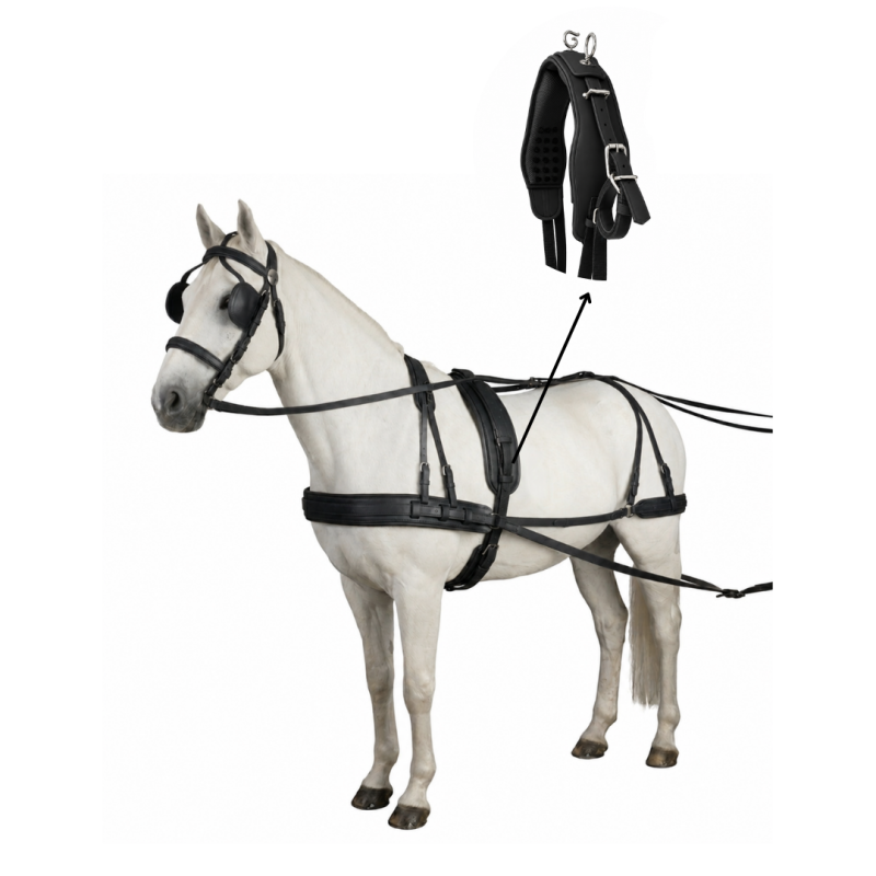 Cavalo branco com arreio de couro preto e arnês acolchoado