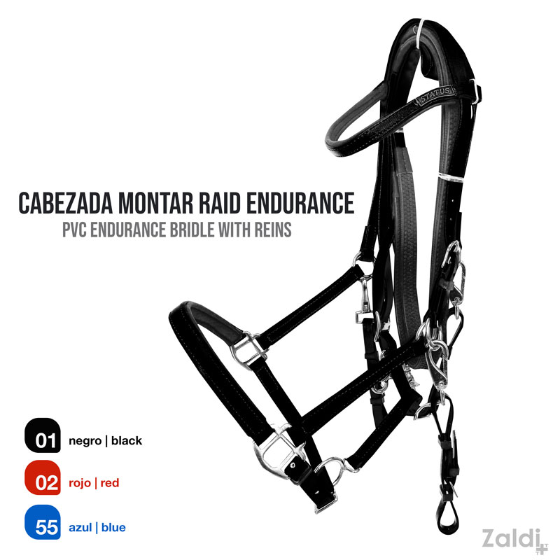 Cabresto em PVC preto com acessórios metálicos para montar