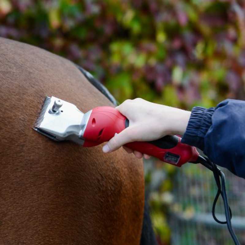 Máquina de tosquia vermelha em mãos a tosquiar pelo castanho de animal