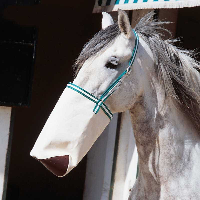 Cavalo branco com focinheira bege com tiras azuis e brancas em estábulo