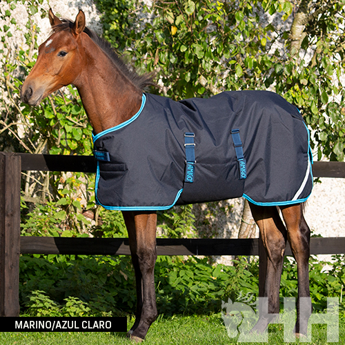 Cavalo com manta azul-marinho e azul claro ao ar livre junto a cerca preta