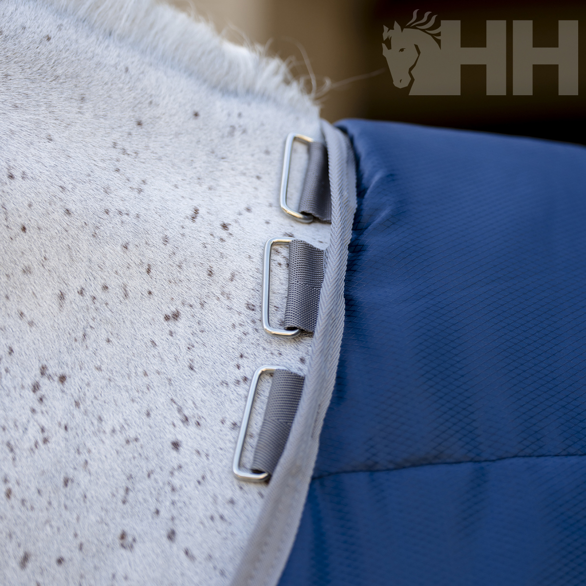 Cobertura azul para cavalo com fivelas metálicas sobre cavalo branco manchado
