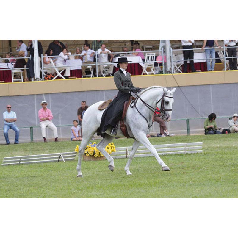 Cavalo cinzento com cavaleira em fato preto numa arena de relva com espectadores.