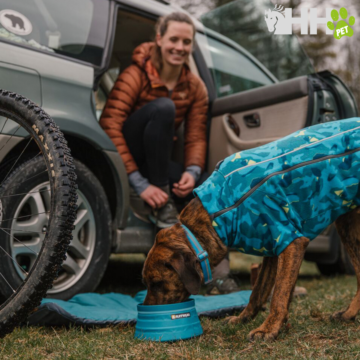 Cão a beber água de comedouro azul ao ar livre com mulher e carro ao fundo