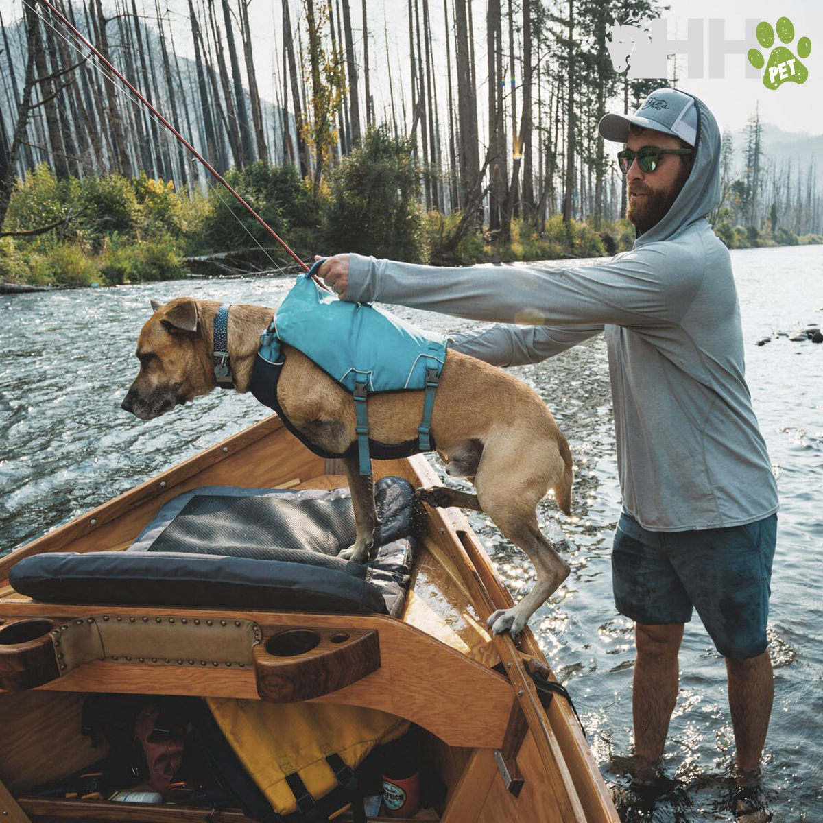 Cão com arnês azul num barco de madeira no rio, homem com roupa desportiva cinza segura o cão.
