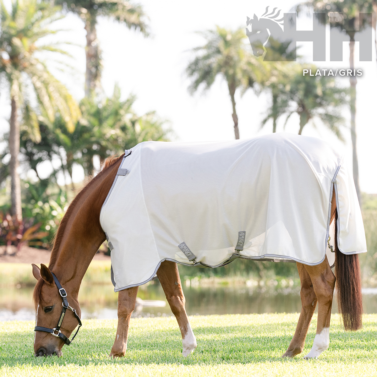 Cavalo castanho vestido com manta de proteção branca, a pastar ao ar livre junto a um lago