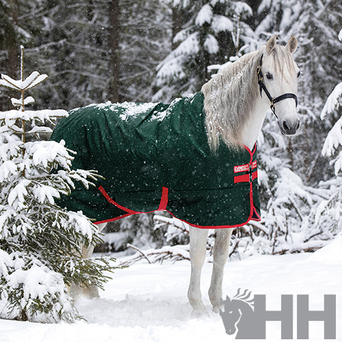 Cavalo branco com manta verde escura e detalhes vermelhos numa floresta nevada