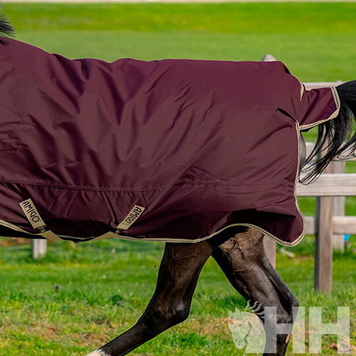 Cobertura para cavalo vinho com detalhes bege ao ar livre