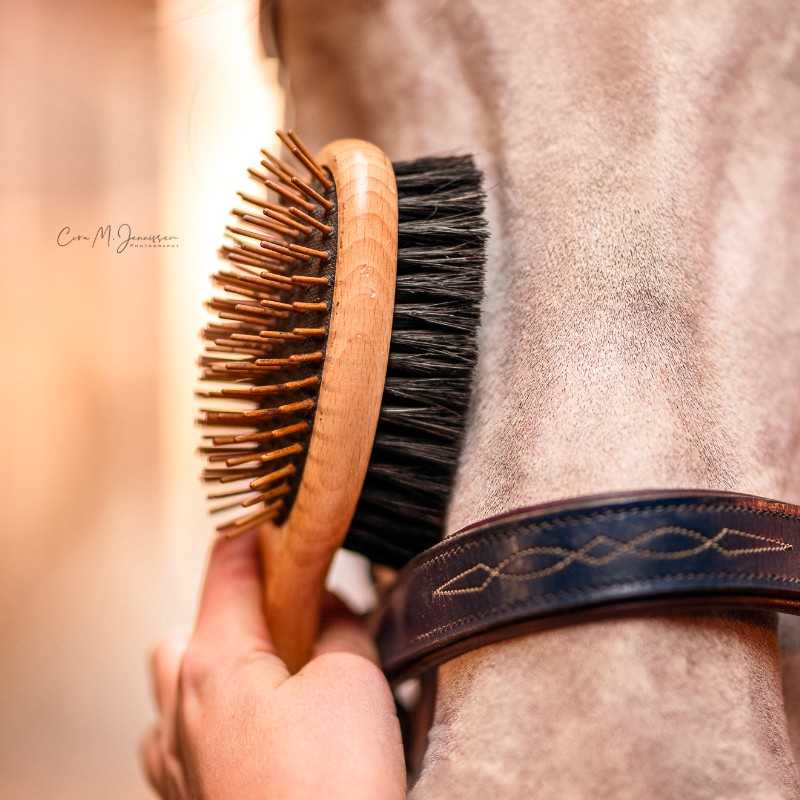 Escova de madeira com cerdas em cavalo cinza-claro com cabeçada de couro marrom-escuro