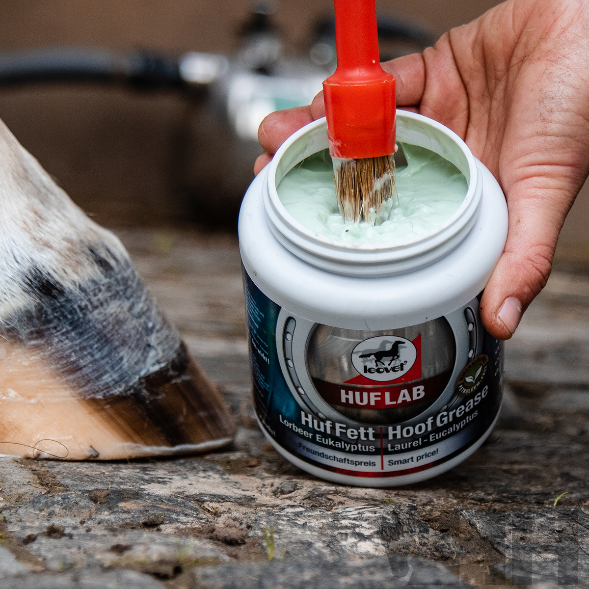 Frasco de gordura para casco de cavalo com pincel e casco de cavalo junto no chão de pedra