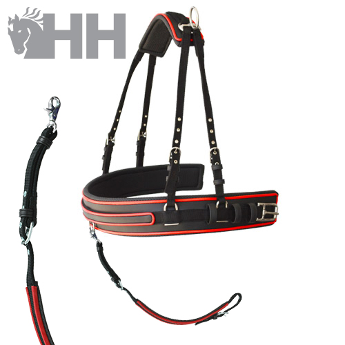 Arnês e trela para cão preto com detalhes vermelhos e brancos