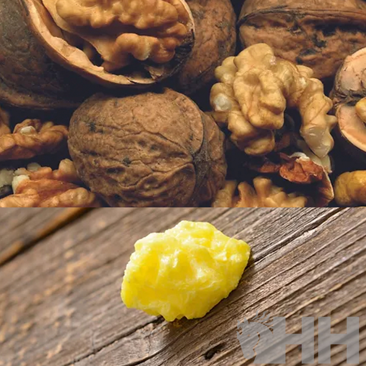 Nozes com casca e sem casca na parte superior e pedaço de cera amarela sobre madeira na parte inferior