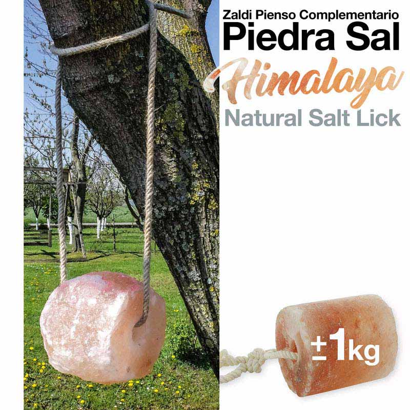 Bloco de sal natural rosa pendurado numa corda junto a uma árvore
