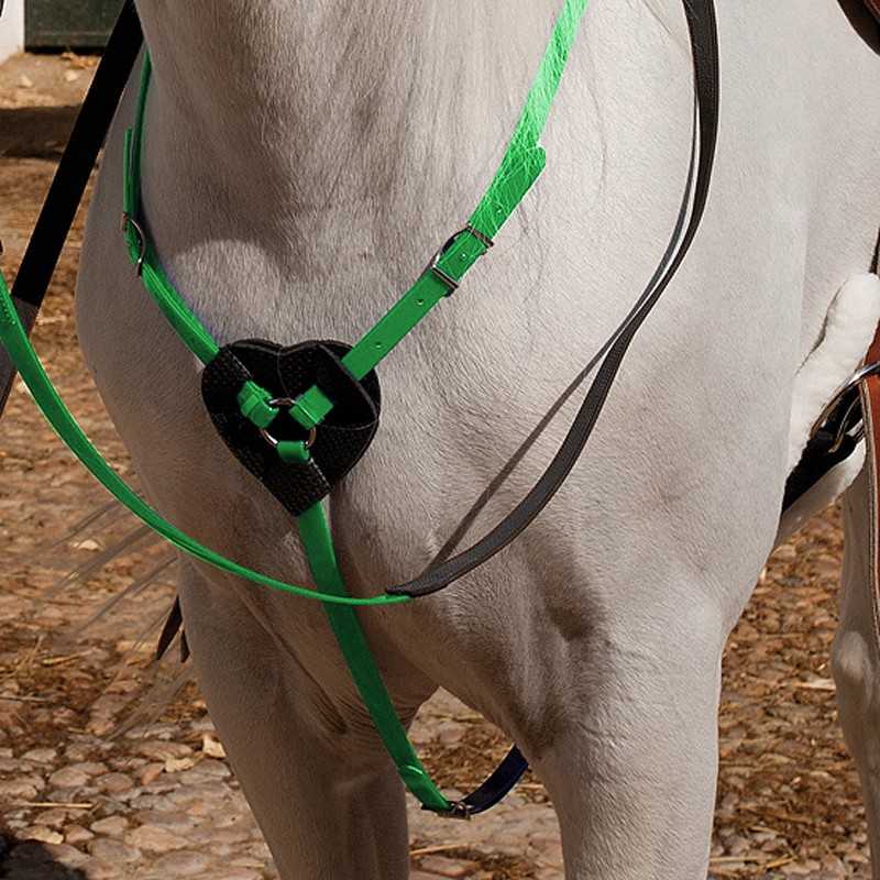 Peitoral para cavalo preto e verde em cavalo branco