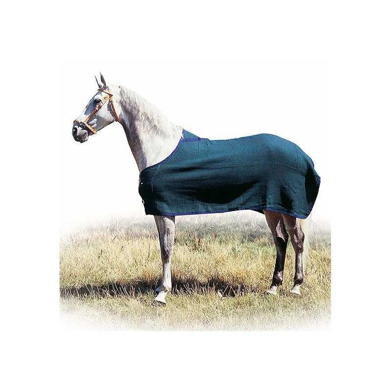 Cavalo branco com manta azul escura em campo com relva seca