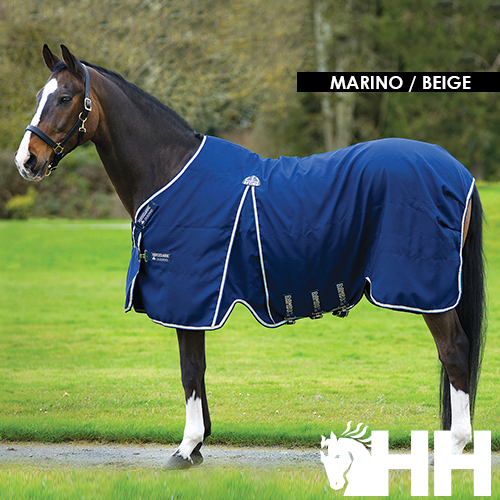 Cavalo com manta azul marinho e detalhes beje e branco no campo