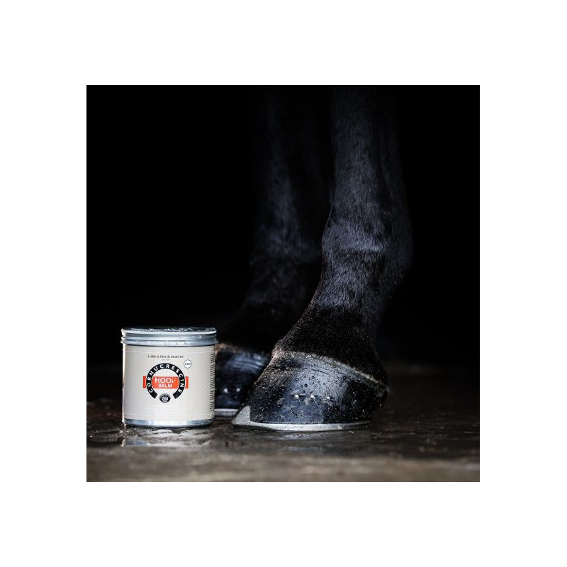 Pote de pomada Hoof Balm ao lado das patas de cavalo negro sobre superfície escura