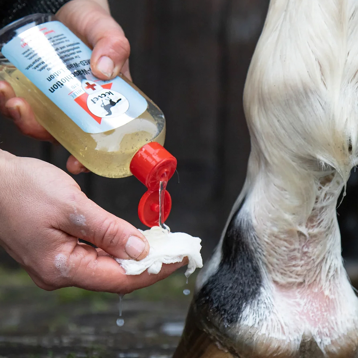 Frasco de líquido a ser aplicado na perna de um cavalo próximo ao casco