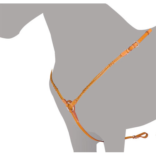 Arnês laranja para cão com fivela ajustável e mosquetão