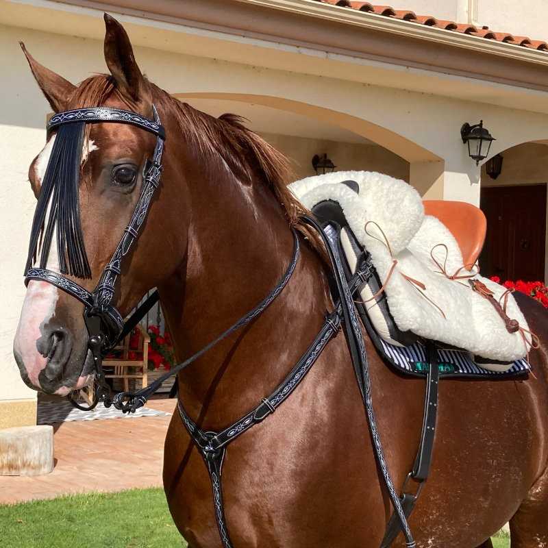 Cavalo castanho com equipamento de montaria branco e preto junto a casa clara com flores vermelhas