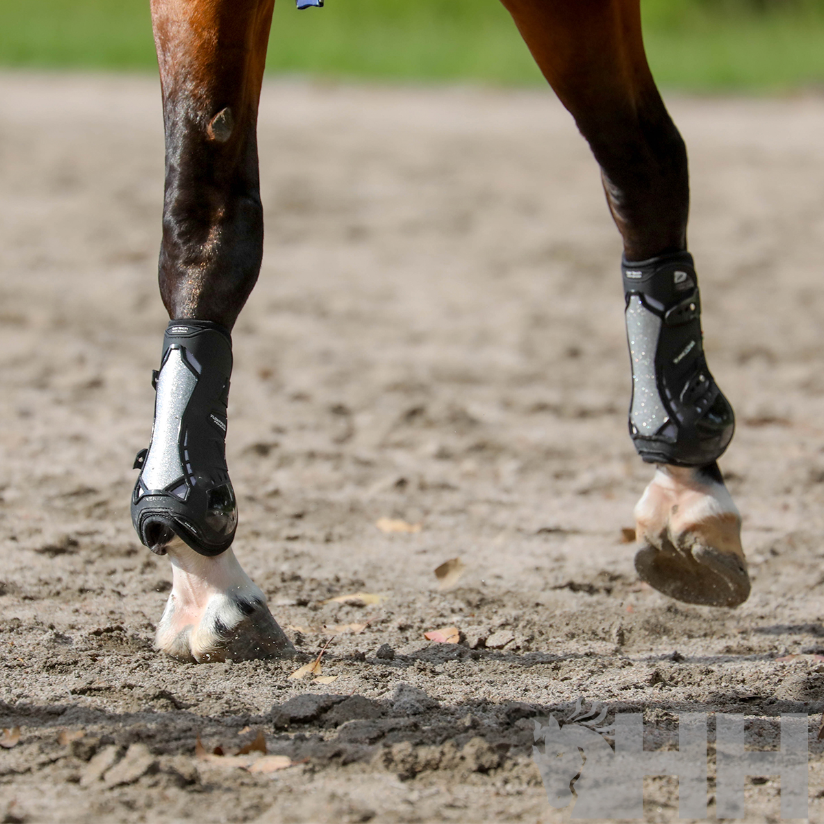 Proteções para patas de cavalo pretas e cinza em solo arenoso ao ar livre