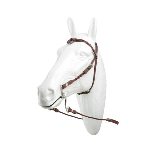 Cabeçal em couro castanho com detalhes trançados numa cabeça de cavalo branco