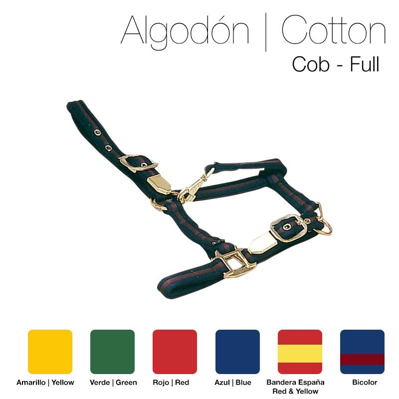 Cabresto de algodão bicolor com fivelas douradas em várias cores