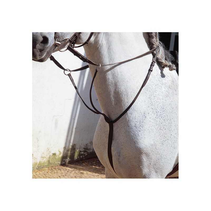 Cavalo branco com peitoral de arreio de couro castanho escuro