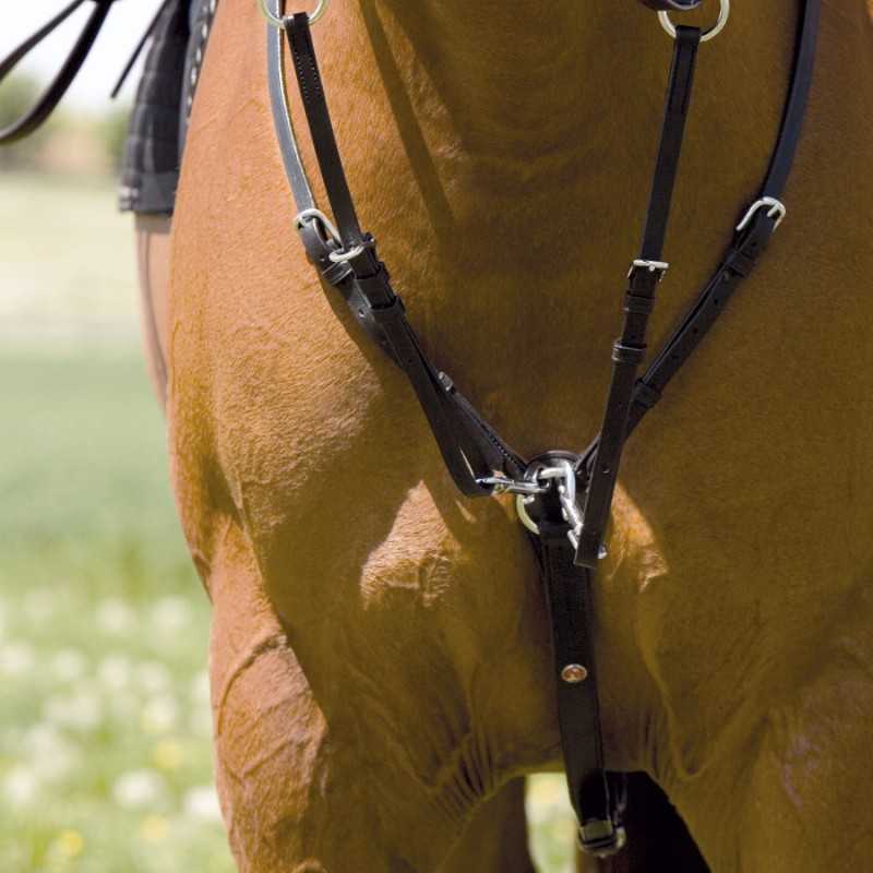 Ferragem de arreio de couro preto num cavalo castanho ao ar livre