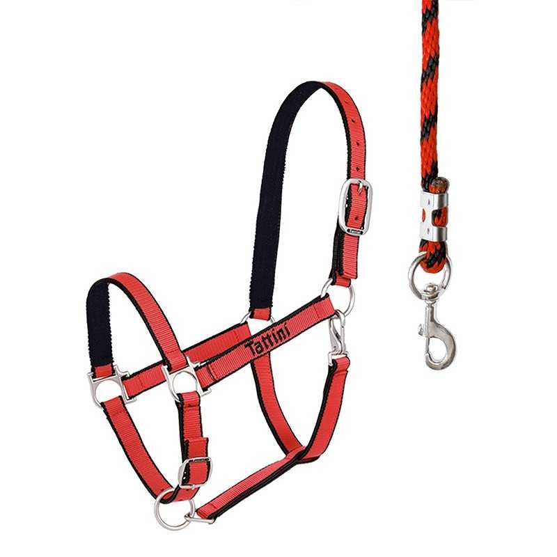 Cabresto de nylon vermelho e preto com guia trançada vermelha e preta