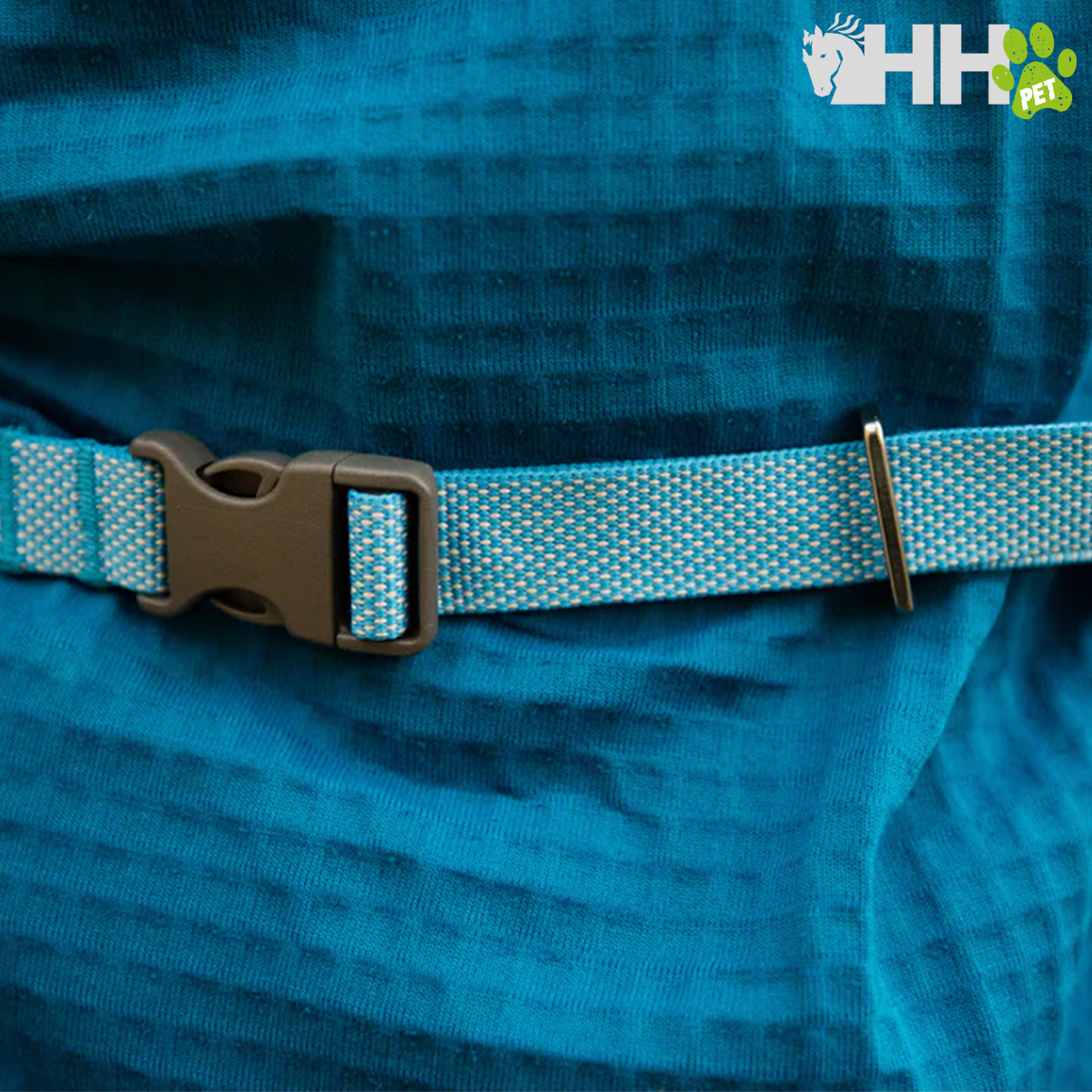 Cinto ajustável azul claro para animais sobre tecido azul