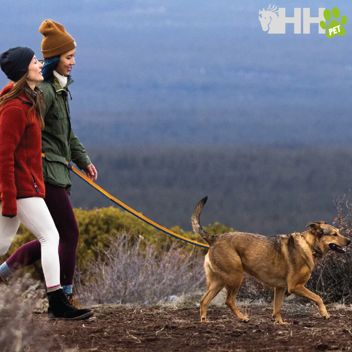 Duas pessoas com casacos e botas a passear com cão castanho em montanha