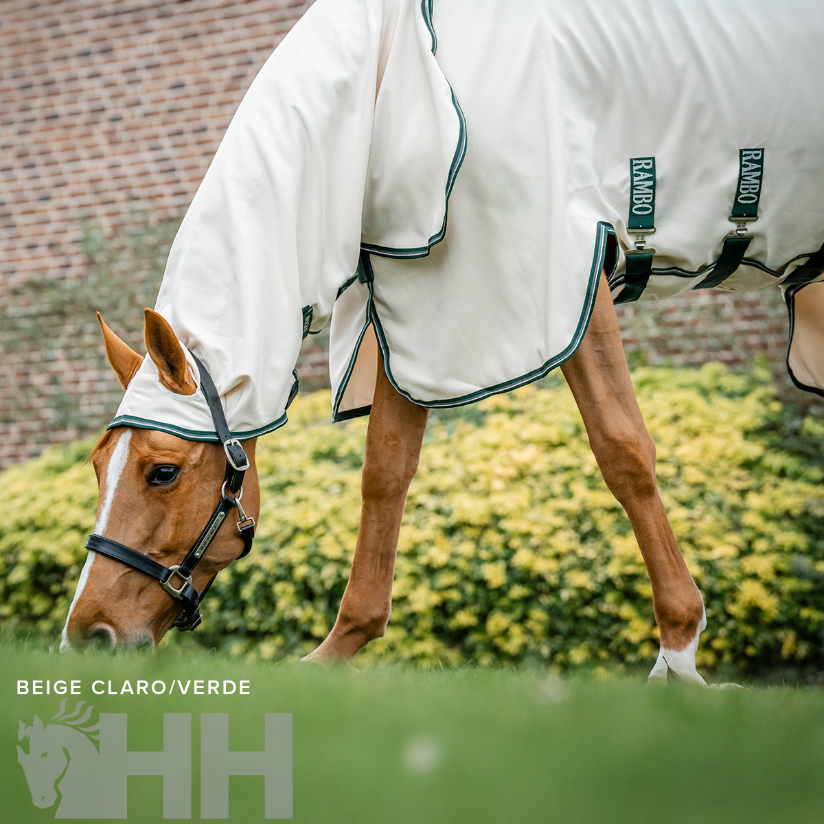 Cavalo com manta de proteção bege claro e verde, alças pretas com logo RAMBO, a comer relva