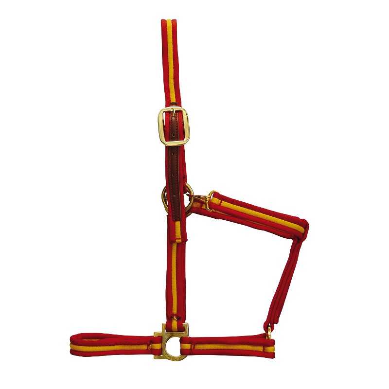 Cabresto para cavalo vermelho com riscas amarelas e fivelas douradas