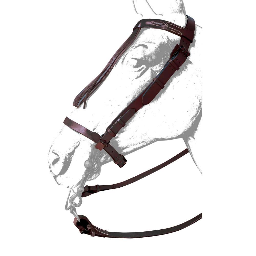 Cabresto de couro castanho com fivelas metálicas sobre desenho de cabeça de cavalo