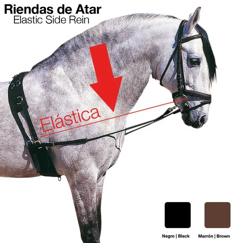 Cavalo com arnês e rédeas elásticas pretas, texto 'Rienas de Atar Elastic Side Rein'