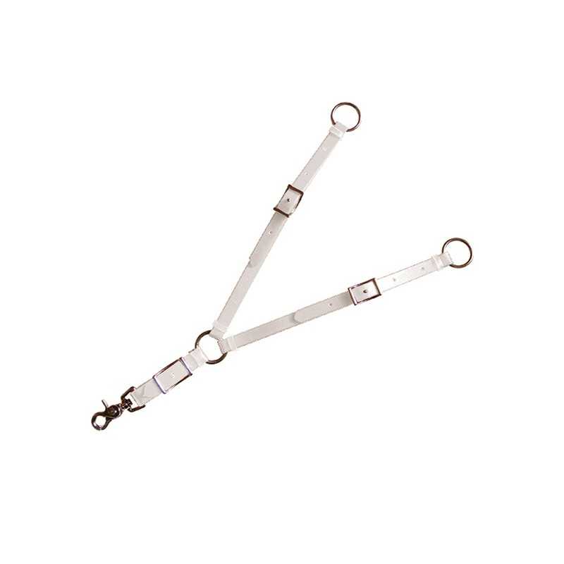 Correia branca para animais com fivelas e anéis metálicos