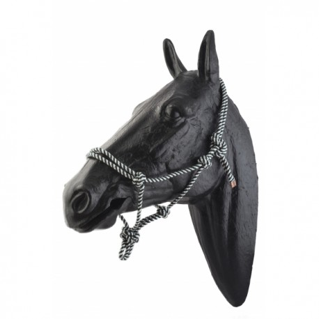 Cabeça de cavalo preta com corda preta e branca amarrada
