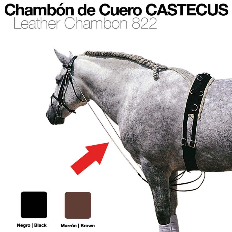 Cavalo cinzento com chambón de couro CASTECUS preto ou castanho em fundo branco