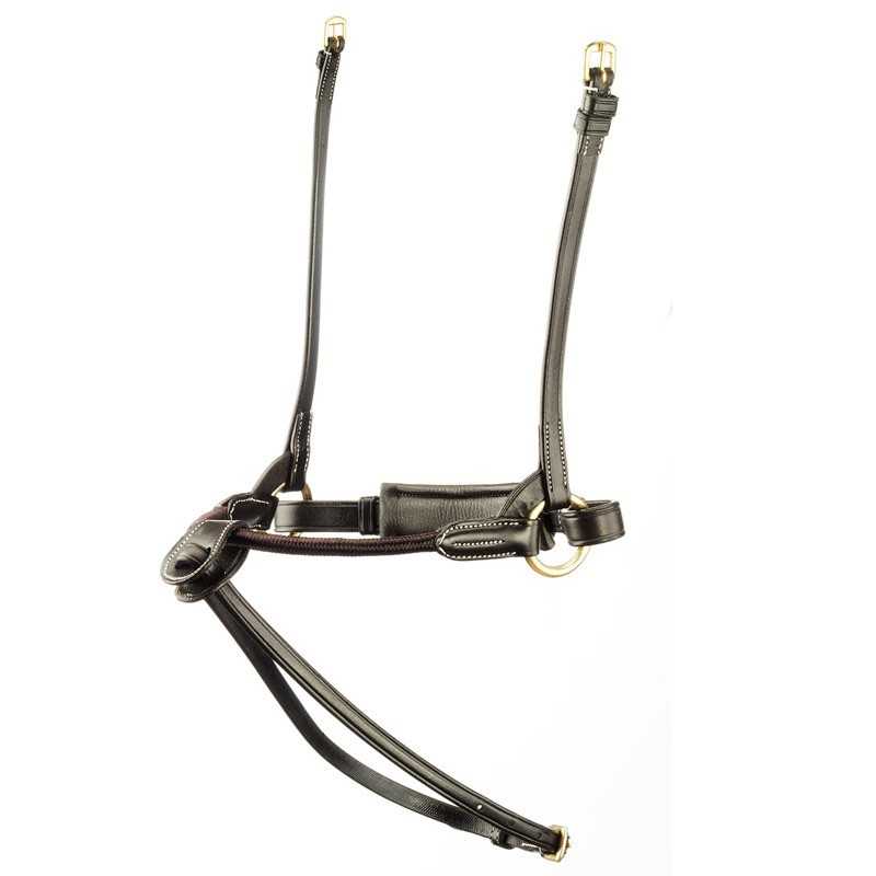 Cabresto preto em couro com fivelas douradas e costuras brancas
