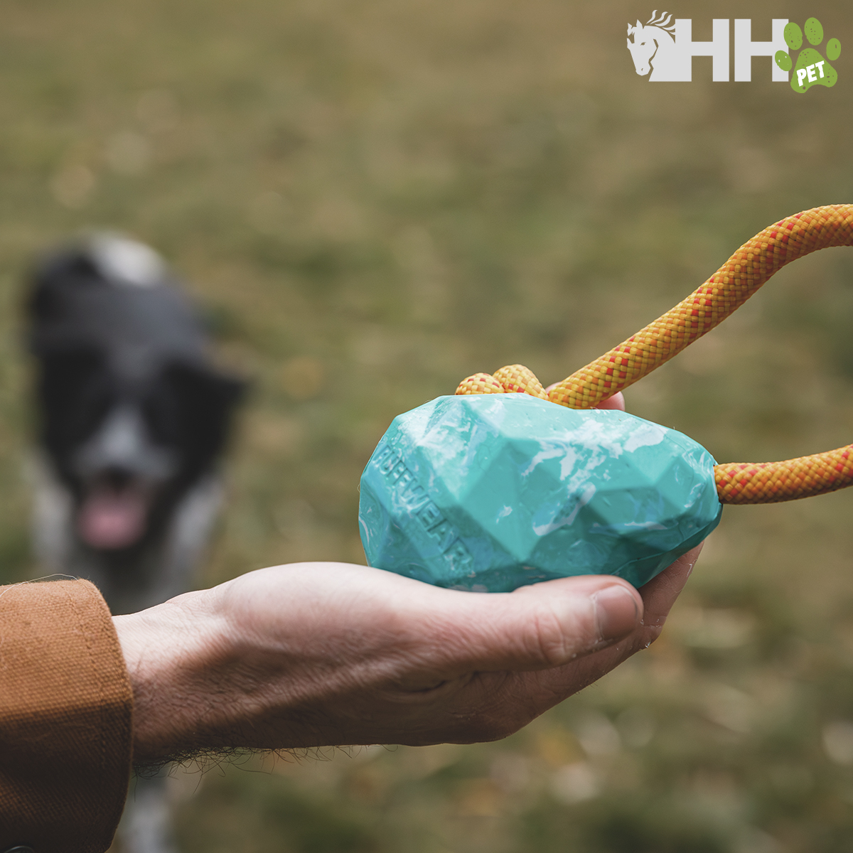 Brinquedo de cão azul com corda segurado na mão em parque com cão ao fundo