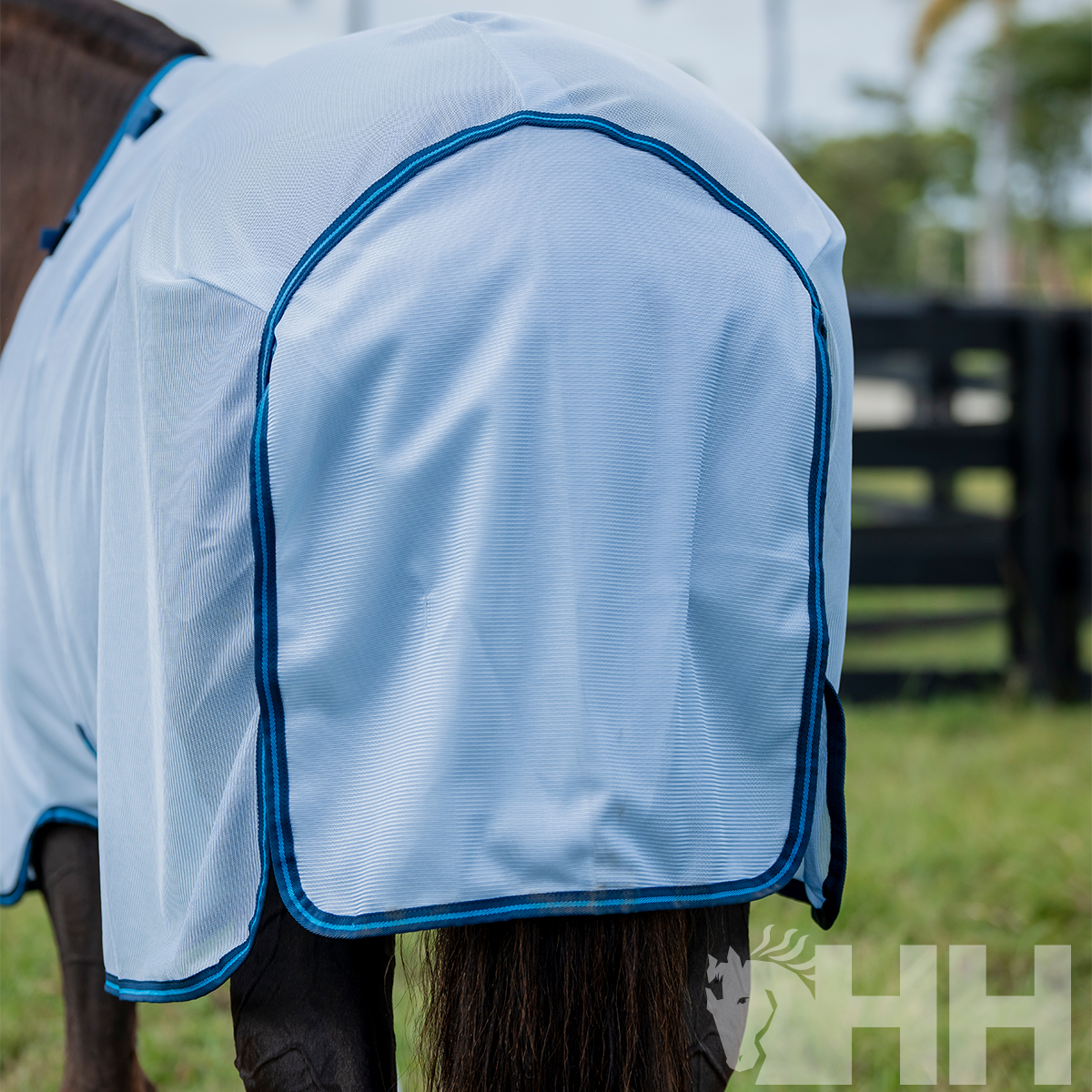 Cobertura branca para cavalo com bordas azuis ao ar livre