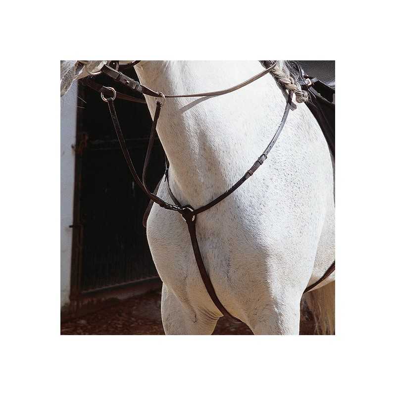 Cavalo branco com peita de arreios de couro castanho em cenário externo